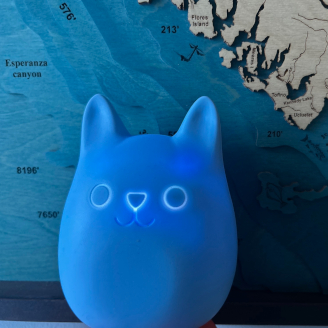 A Purrfy in front of map