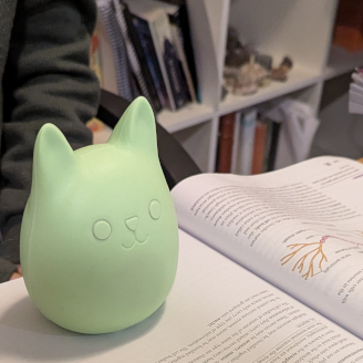 A Purrfy on a textbook